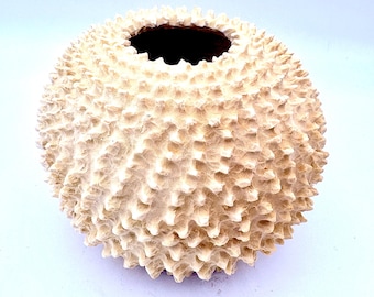Hand Carved Madrone Wood Sea Urchin Sculpture - Unique Wood Turned Art Art Collect Piece