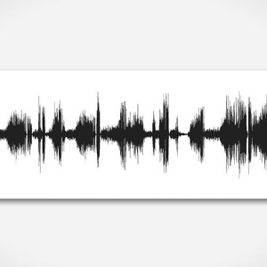 May include: Black and white sound wave graphic of the song "For Elise" on a white background.