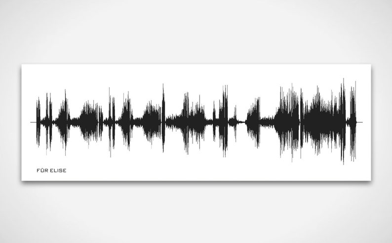 May include: Black and white sound wave graphic of the song "For Elise" on a white background.