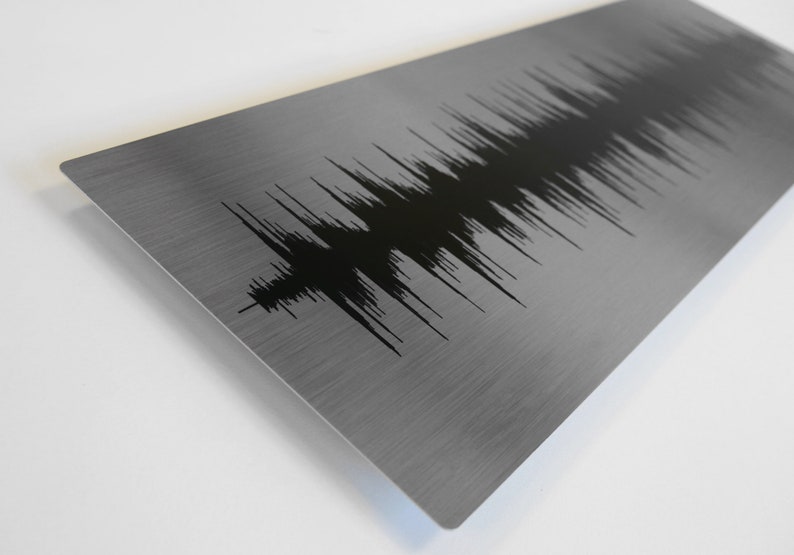 May include: A metal plate with a black sound wave graphic. The plate has a brushed metal finish.