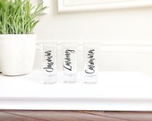 bachelorette party, bachelorette, shot glasses, personalized shot glasses, shot glass, shot glasses personalized, shot glasses bachelorette