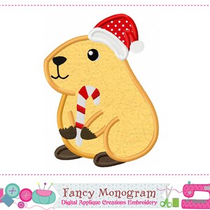 Op de afbeelding: Een cartoon illustratie van een capibara met een rode kerstmuts met witte rand en een witte pompon. Het houdt een rood-witte zuurstok vast. Digitaal applicatieontwerp.
