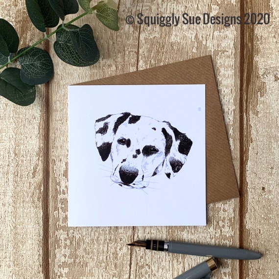 Dalmation Dog Blank Greetings Card Pen and Ink Drawing