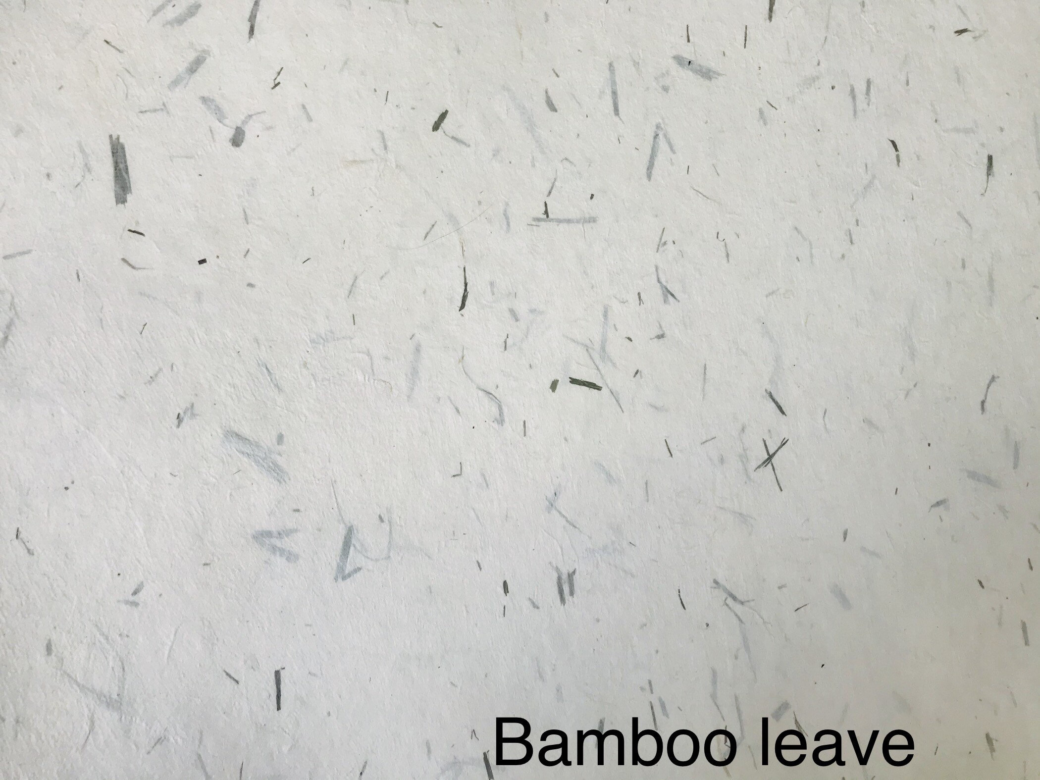Bamboo leave handmade paper 04 layers 200gsm size 40x60cm Etsy