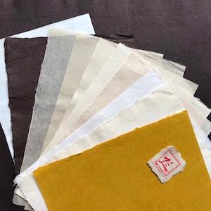 10 campioni (A4) di carta Do Bark fatta a mano, priva di acidi, ideale per acquerelli, calligrafia, cartoline fai-da-te e altro ancora!
