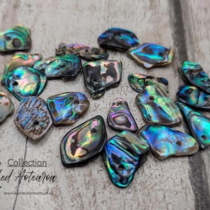 May include: A selection of tumbled abalone shells in assorted shapes and sizes. The shells exhibit iridescent hues of blue, green, purple, and gold. Some shells are drilled with holes. The image includes the text "Collection Tumbled Aotearoa".