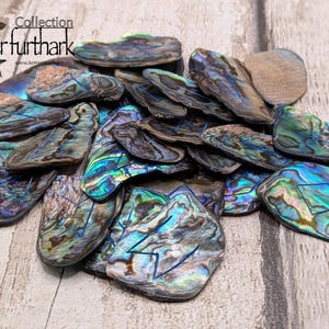 May include: A collection of iridescent abalone shells in shades of blue, green, and brown. The shells have a textured surface and are arranged on a light wood background. The image includes the text "Collection Elderfurthark".