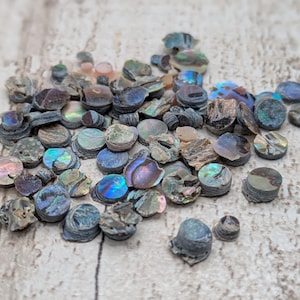 Peut inclure: Un ensemble de petits morceaux ronds de coquille d'ormeau irisée. Les coquilles présentent une gamme de couleurs, notamment des bleus, des verts et des violets, avec un aspect texturé et stratifié. Idéal pour l'artisanat et la bijouterie.