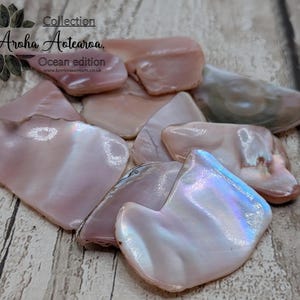 May include: A collection of iridescent, pink, and pearlescent shell pieces. The shells have a smooth, polished surface and vary in size and shape. The image includes text that reads "Collection Aroha Aotearoa Ocean edition".