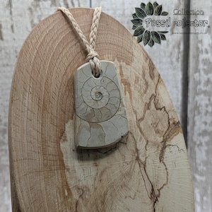 May include: A rectangular pendant featuring a fossilized ammonite design, suspended from a braided beige cord. The pendant is displayed on a wooden stand. The text "Collection Fossil collector" is visible in the upper right corner.