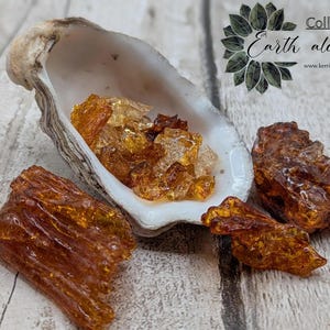 May include: A still life featuring amber-colored resin pieces and fragments inside a white oyster shell. The shell sits on a light wood surface. The text "Earth alchemy" is visible.