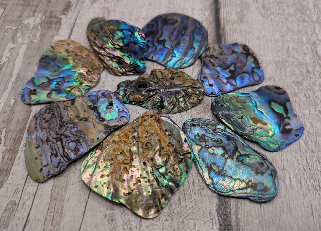 Raibow Shell 9 Large New Zealand Rainbow Pāua Shell Tumbled Beads. - Etsy