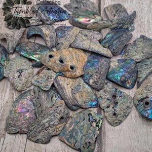 One large Wild Tumbled NZ Rainbow Pāua Shell from Kaikōura – Natural Abalone for Spiritual Healing, metaphysical, Crafting & Collecting.