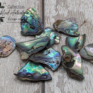New Zealand rainbow pāua abalone shell odd shape pouch.