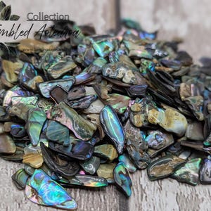 May include: A pile of tumbled abalone shells with iridescent blues, greens, and browns. The shells have a natural, textured appearance. The image includes the text "Collection Tumbled Aotearoa".
