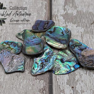 May include: A selection of tumbled Aotearoa ocean edition abalone shells. The shells exhibit iridescent blues, greens, and purples. The image includes the text "Collection Tumbled Aotearoa Ocean edition".