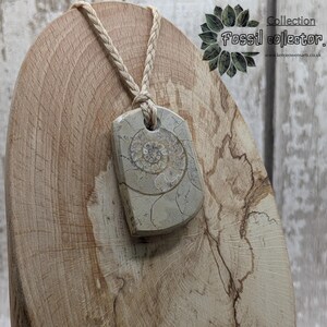 May include: A light grey fossil pendant with an ammonite design, hanging from a beige rope. The pendant is rectangular with a detailed spiral pattern. The background is a wooden display stand. The text "Collection Fossil collector" is visible.