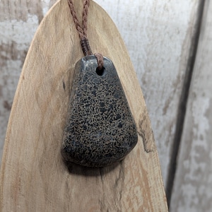 Oxfordshire dinosaur bone toki style pendant.