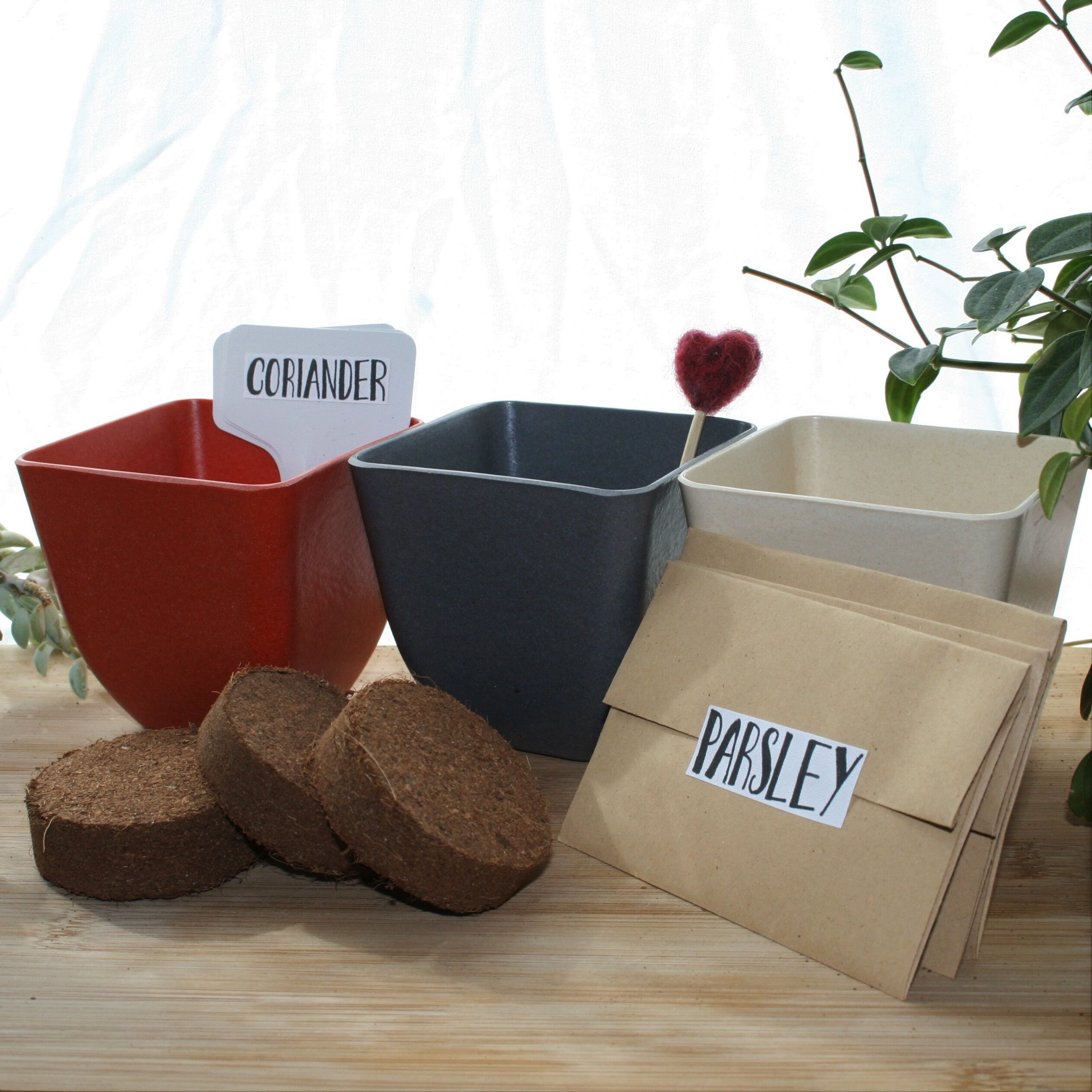 Cultiva tu propio kit de hierbas 3 ollas personalizable | Etsy