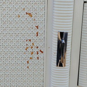 May include: White wicker cabinet with a silver door handle. The cabinet has a woven pattern and a raised, textured design on the door.