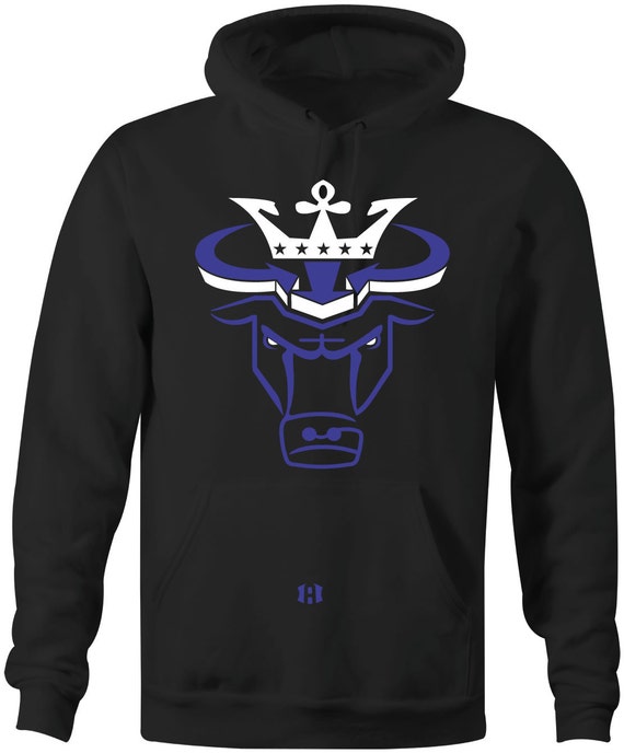 jordan 11 space jam hoodie