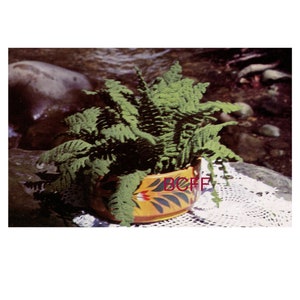 May include: A green fern plant in a yellow and brown ceramic pot with a black and white design. The pot is sitting on a white crocheted doily.