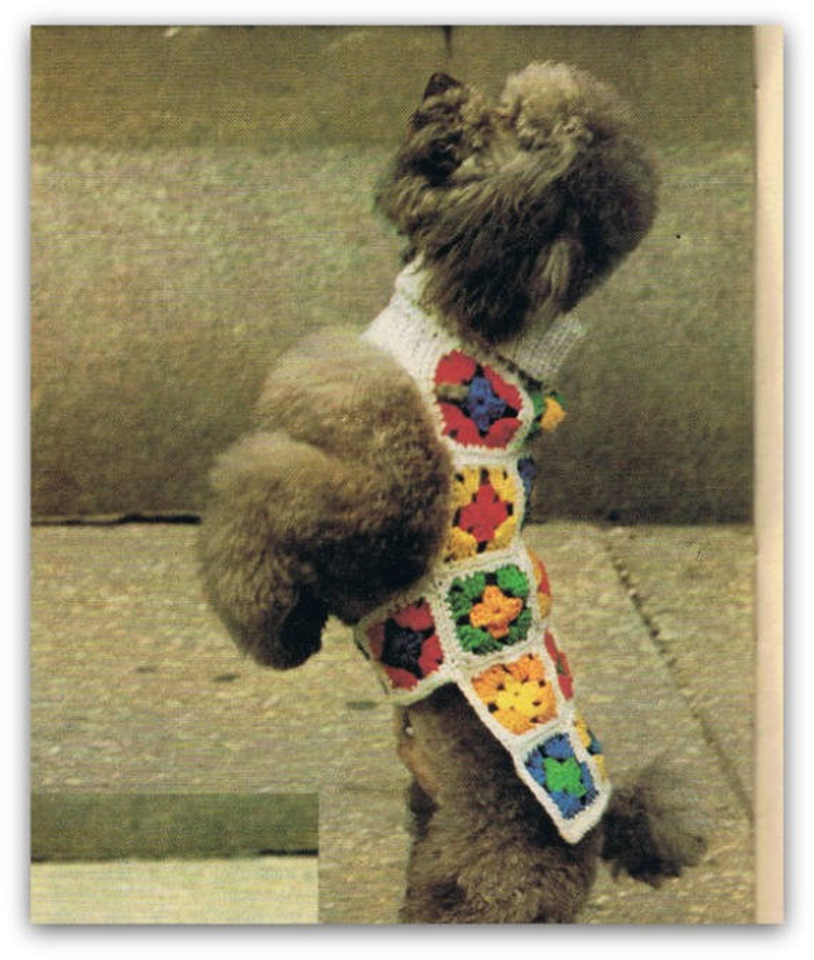 Dog Coat Crochet Pattern Granny Squares Pattern Dog Jacket Etsy