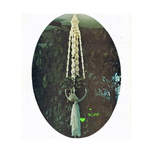 May include: A white macrame plant hanger with a round base and long tassels. The hanger is hanging from the ceiling in a room with green plants.