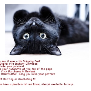 May include: A black cat lying on its back with its paws in the air, looking directly at the camera. The cat has bright green eyes and a long, black tail. The cat is lying on a light brown surface.
