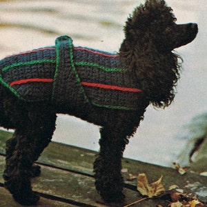 Dog Coat Crochet Pattern Winter Dog Sweater PDF Pattern Instant Download PDF on Etsy