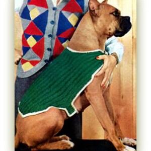 Könnte beinhalten: Ein brauner und weißer Hund, der eine grüne Strickweste trägt. Der Hund sitzt auf einem Tisch, im Hintergrund eine Person mit einer bunten Patchworkweste.