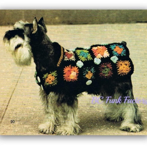 granny square dog sweater