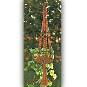 May include: A macrame plant hanger made with brown cord and wooden beads. The hanger is suspended from a tree branch and contains a green plant.
