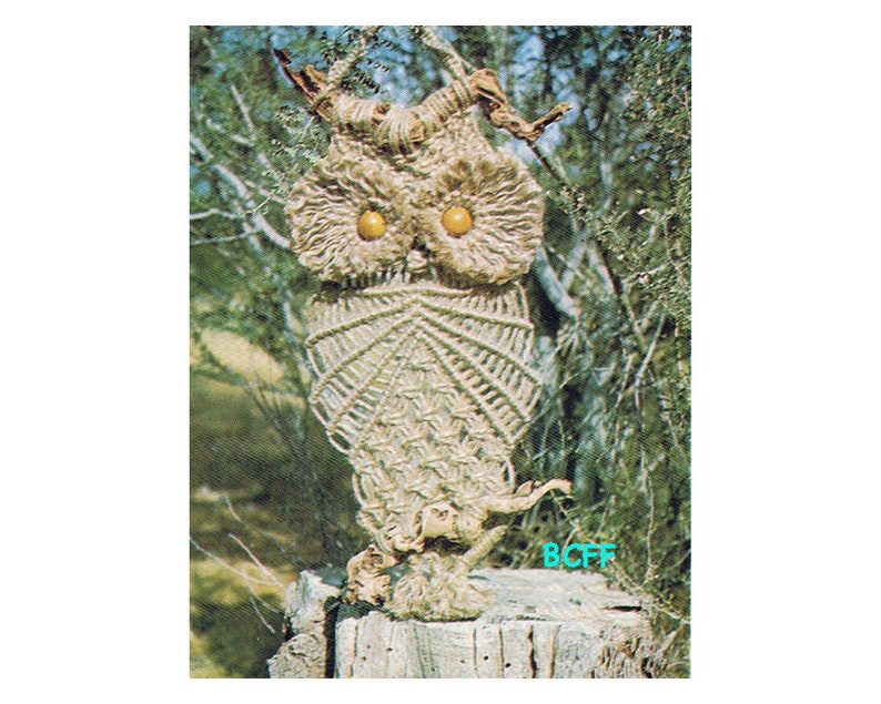 Macrame Owl Pattern How to Macrame Vintage 1970/'s Wall Hanger Digital Pattern Instant Download