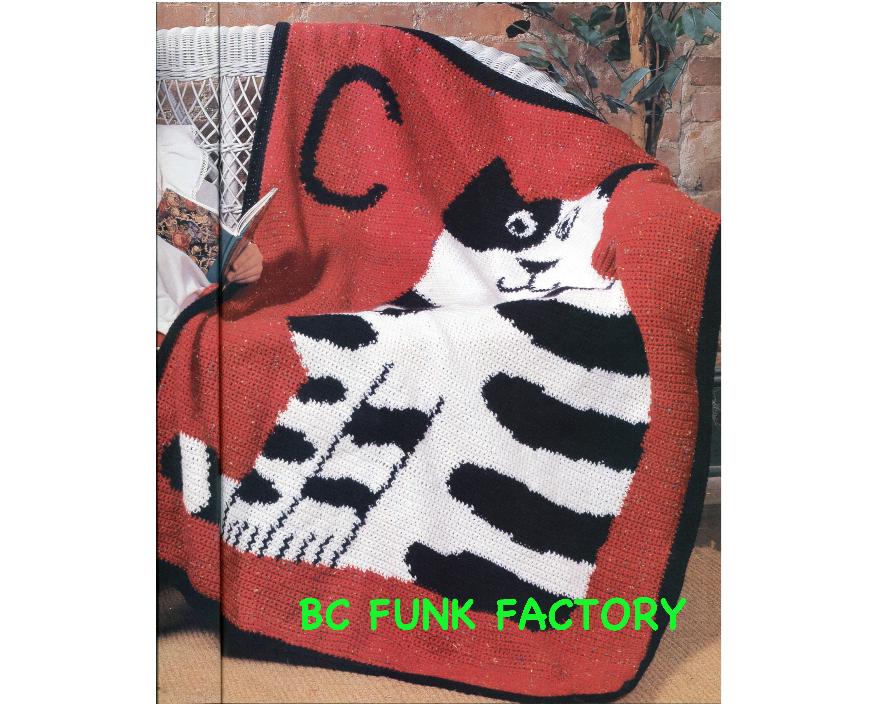 36 Cat Blanket Crochet Patterns: Cozy, Graphic, and Granny-Square Designs 18 Vintage Afghan Crochet