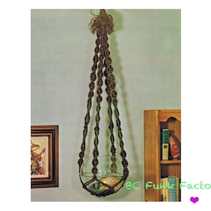 May include: A macrame plant hanger with a brown and green rope design. The hanger is holding a clear glass globe with a plant inside. The hanger is hanging from the ceiling.