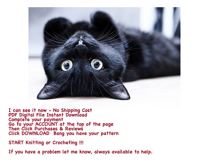 Черный котик