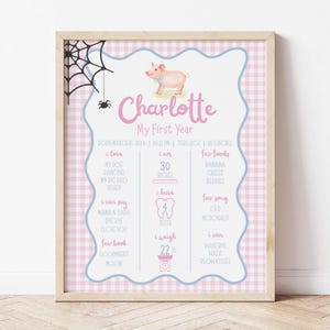 Könnte beinhalten: Ein gerahmter Druck mit einem rosa-weiß karierten Hintergrund und einem hellblauen Rand. Der Druck zeigt den Namen "Charlotte" in rosa Schrift, eine Schweineillustration und Details über das erste Jahr des Kindes, einschließlich Größe (76 cm) und Gewicht (10 kg).