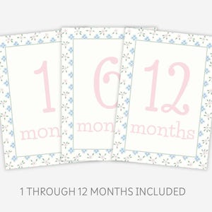 Cartes d'étape mensuelles Shabby Chic, cartes d'étape imprimables, florales, cartes mensuelles vintage, cartes mensuelles pour Photos, téléchargement numérique