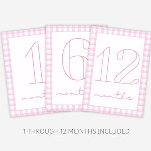 Cartes d'étape mensuelles roses simples, cartes d'étapes imprimables, Vichy rose, cartes mensuelles de fille, cartes mensuelles pour les photos, téléchargement numérique