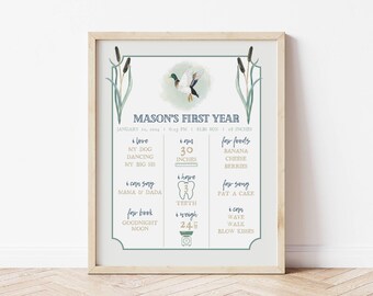 One Lucky Duck Milestone Sign, Babys first year, Boy First Birthday Sign, Matching Milestone Sign, Mallard Duck Birthday, All About Me