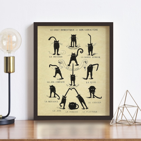 Lámina de gatos franceses "Le Chat Domestique" • ¡3 tamaños! • Lámina de pared de gatos vintage • Diagrama de siluetas de gatos antiguos