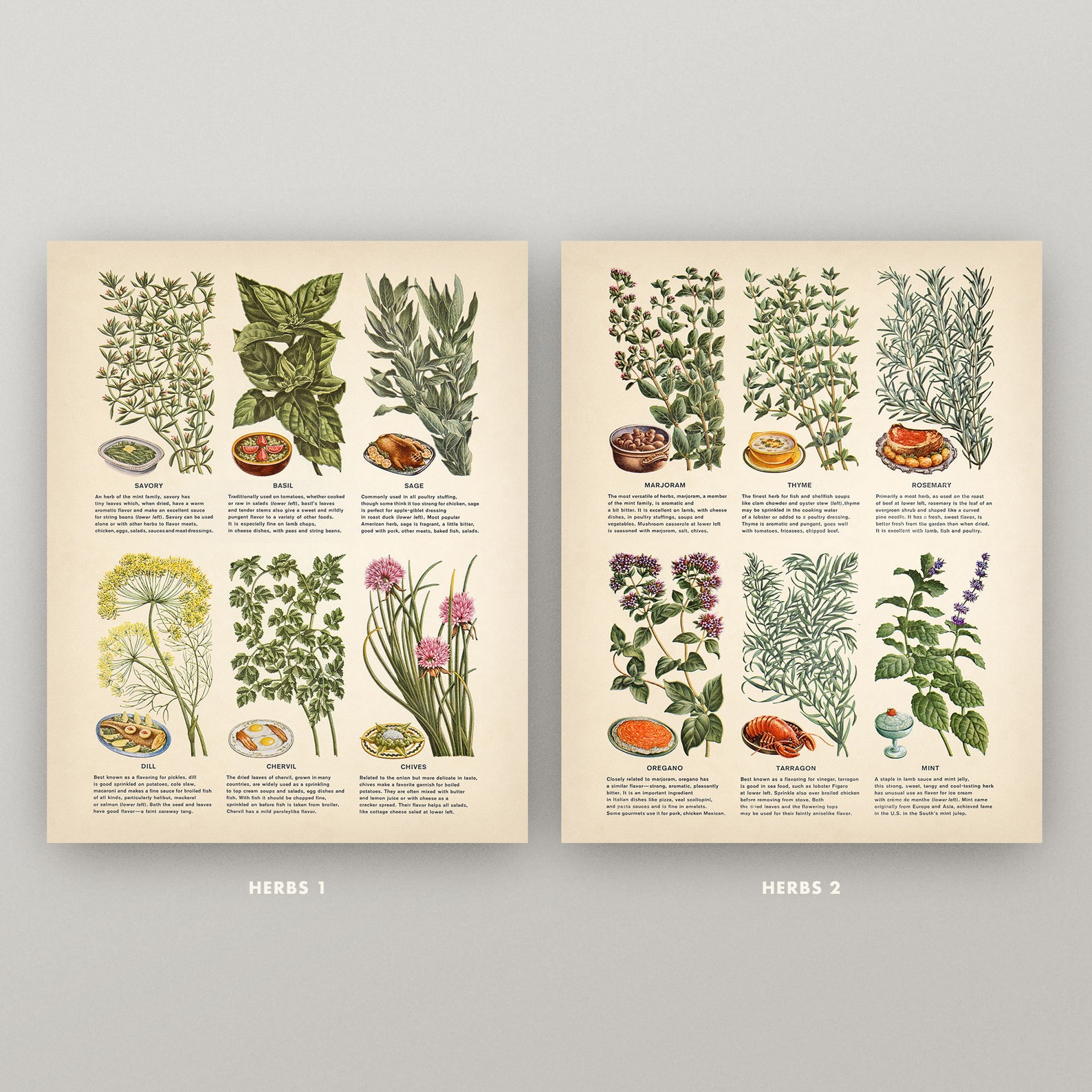 Herb Chart Print Set 8x10 Kitchen Wall Art Purchase - Etsy