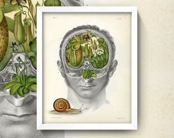 Exotic Plants Skull Collage • Antique Snail Wall Art • 4 Sizes! • Vintage Houseplants Brain Chart Human Anatomy Venus Flytrap Pitcher Plant