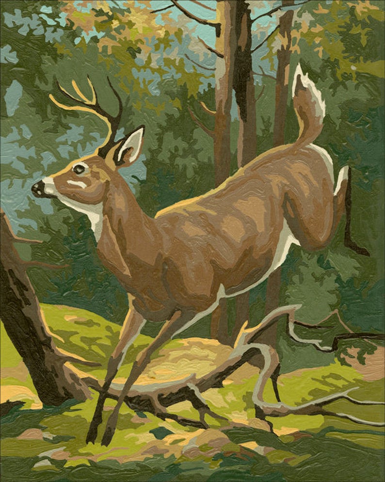 Vintage Paintbynumbers Deer Painting Set 3 Sizes Deer Etsy