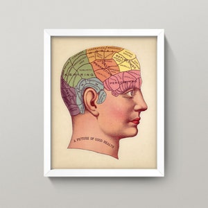 Phrenology Head Print • Antique Phrenology Diagram • 4 Sizes! • Hand-Tinted Oddity from Victorian Era • Quack Medicine Steampunk