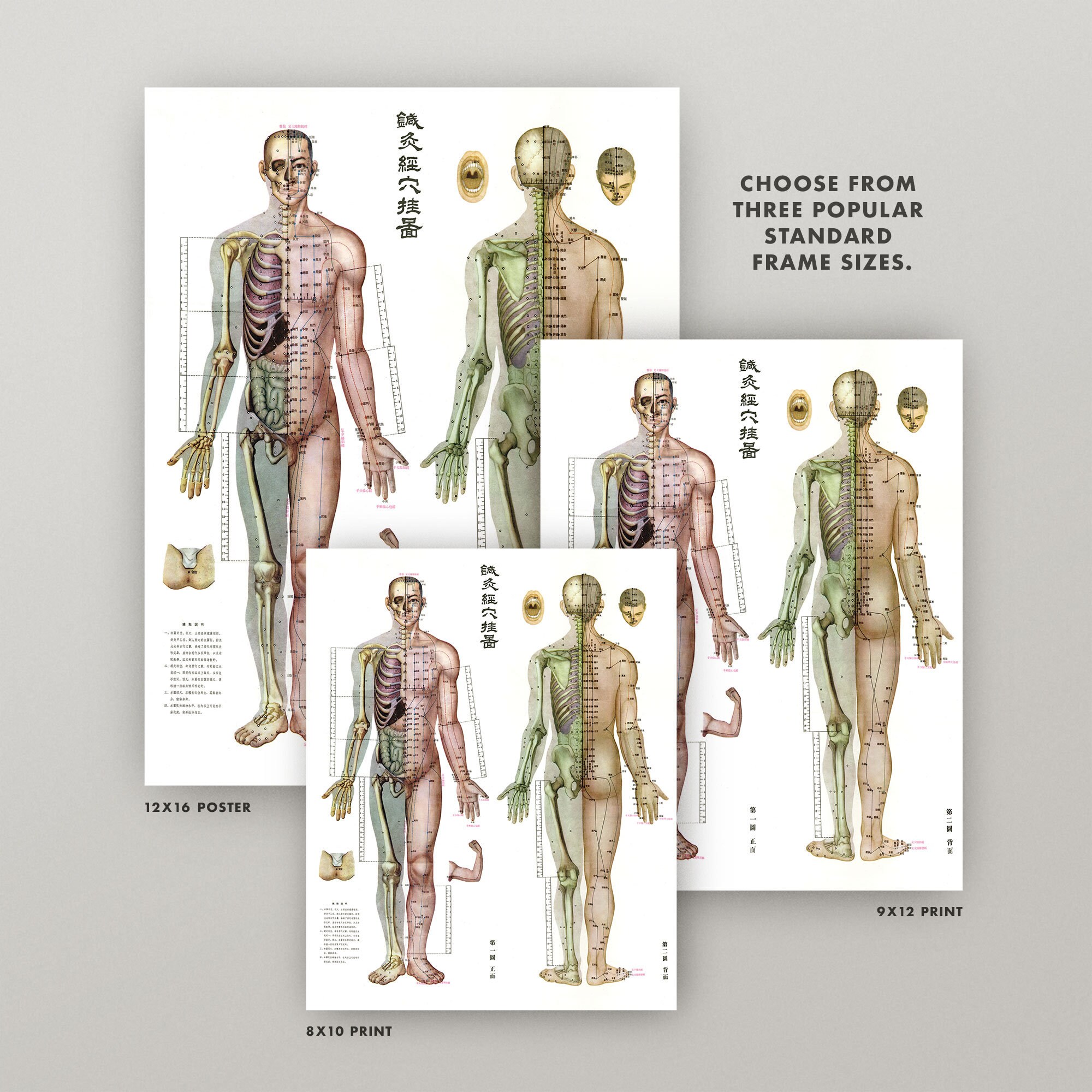 Acupuncture Chart Print • Choose From 5 Sizes! • Vintage Acupuncture ...