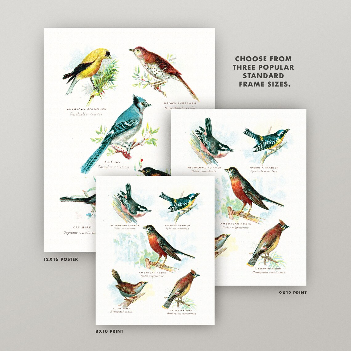 Vintage Birds Print Set Antique Bird Wall Art Set of 2 Etsy