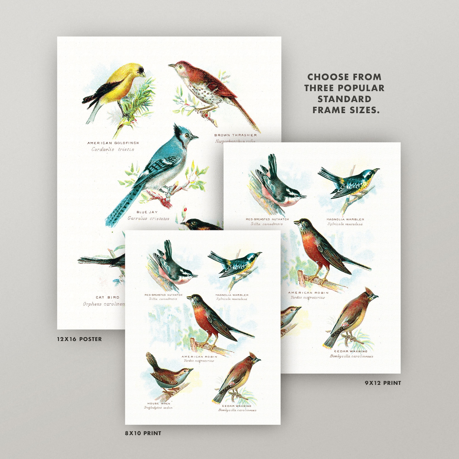 Vintage Birds Print Set Antique Bird Wall Art Set of 2 Etsy