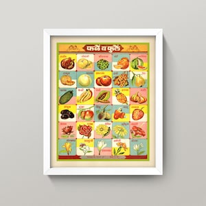 Colorful Kitchen Print • Vintage Marathi Fruit & Flowers Chart • 5 Sizes! • Retro Indian Diagram featuring Fruit, Vegetables and Flowers!